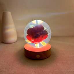 Custom Rose Resin Ball, Dried Flower Night Light, Real Lamp, Eternal Preserved Red Floral Art, Anniversary Gifts - thumbnail 3