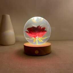 Custom Rose Resin Ball, Dried Flower Night Light, Real Lamp, Eternal Preserved Red Floral Art, Anniversary Gifts - thumbnail 1
