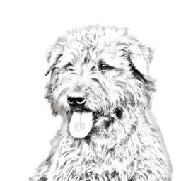 Glen Of Imaal Terrier - Wooden Stand For Candles/Pens With The Image A Dog New Collection - thumbnail 2