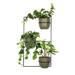 Zebrina Wall Metal Plant Hanger, Pflanzenaufh??nger, Kwietnik