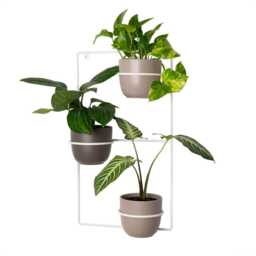 Zebrina Wall Metal Plant Hanger, Pflanzenaufh??nger, Kwietnik - thumbnail 2