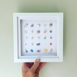 Cornish Sea Glass & Shell Wall Art Coastal Treasures Grid Framed Picture Beach House Decor Handmade in Cornwall - thumbnail 3
