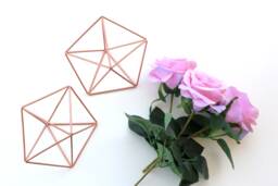 Copper Star Himmeli, Geometric Air Plant Holder, Wall Decor - thumbnail 1