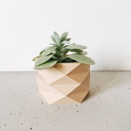 Geometric Minimalist Planter - Wood Low Poly Planter, For Cactus & Succulent Ready Original Gift Her Him - thumbnail 2