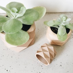 Geometric Minimalist Planter - Wood Low Poly Planter, For Cactus & Succulent Ready Original Gift Her Him - thumbnail 4