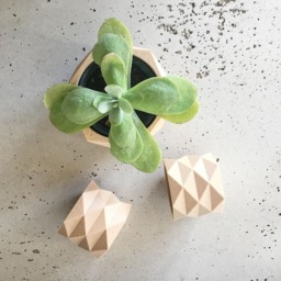 Geometric Minimalist Planter - Wood Low Poly Planter, For Cactus & Succulent Ready Original Gift Her Him - thumbnail 3