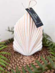 Scented Soy Candle, Fan Style Fragranced Cotton Wick Candles, Premium Fragranced Candles - thumbnail 1