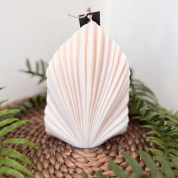 Scented Soy Candle, Fan Style Fragranced Cotton Wick Candles, Premium Fragranced Candles - thumbnail 4