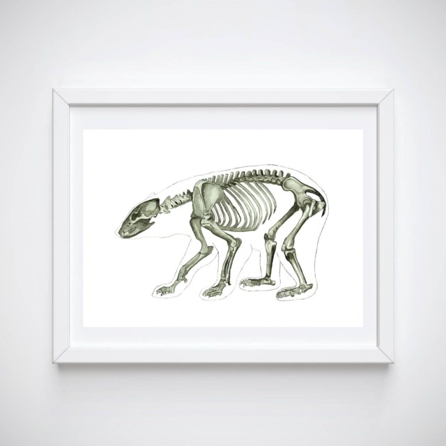 Bear Skeleton Watercolor Print - Animal Anatomy Art - image 1