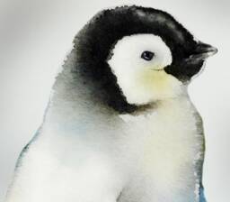 Baby Penguin Decal, Watercolor Penguin Sticker, Wall Nursery, Polar Decor, Cute Penguin - thumbnail 1