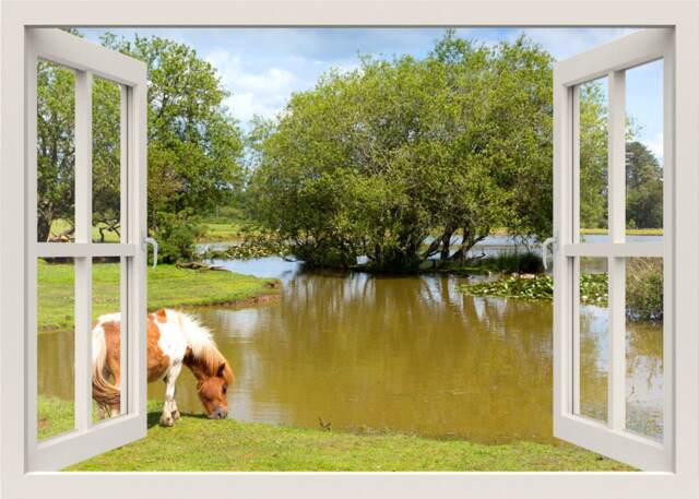 Horse Wall Decal, Sticker, Drinking Water in Lake Nature Animals Window Frame Sticker