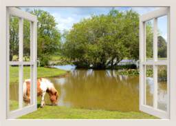 Horse Wall Decal, Sticker, Drinking Water in Lake Nature Animals Window Frame Sticker