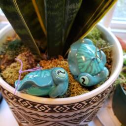 Blue Cuttlefish Christmas Ornament - thumbnail 2