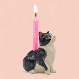 Cat Candle Holder Ceramic - Hand-Painted Tuxedo Figurines - thumbnail 4