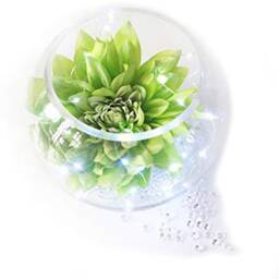 Clear Glass Fishbowl Bubble Round Vases 20cm Wedding Centrepiece Arrangements Floral Fresh Or Artificial -Potpourri -Snowman Displays - thumbnail 2