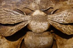Bumblebee Concrete Decorative Tile - thumbnail 1