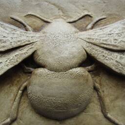Bumblebee Concrete Decorative Tile - thumbnail 4