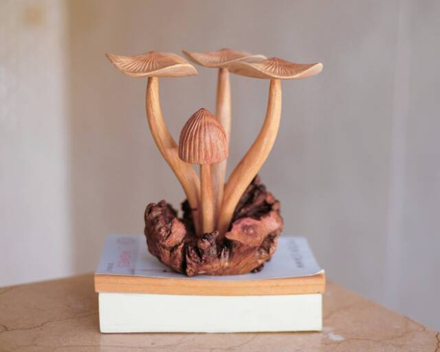 Forest Mushroom, Beauty Of Floor, Hand Carved Parasite Wood, Unique, Sculpture, Home Decor, Personalized, Dorm Gift For - image 1