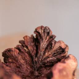 Forest Mushroom, Beauty Of Floor, Hand Carved Parasite Wood, Unique, Sculpture, Home Decor, Personalized, Dorm Gift For - thumbnail 4