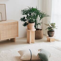 Solid Wood Stool, Handmade - Denia - thumbnail 3