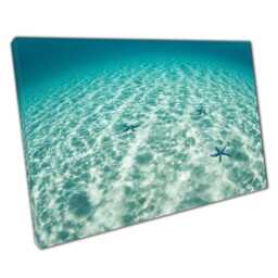 Blue Starfish Canvas Wall Art Print Relaxing Seafloor in Komodo Island Indonesia Home Office Decor - thumbnail 1