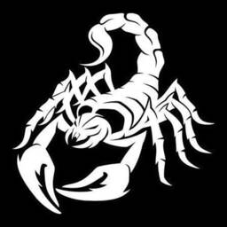 Scorpion Car Decal Sticker Decor Vinyl Bonnet Side Wall Art Graphic Silhouette Van Lorry Motorhome Campervan Truck