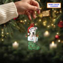 Custom Name Dog in Stocking Dogo Argentino Personalized Ornament, Christmas Hanging Decor, 2D Flat Acrylic Ornament Holiday Gift - thumbnail 3