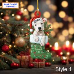 Custom Name Dog in Stocking Dogo Argentino Personalized Ornament, Christmas Hanging Decor, 2D Flat Acrylic Ornament Holiday Gift - thumbnail 1
