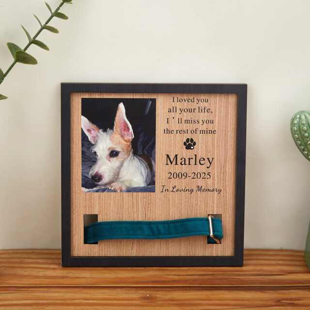 Custom Memorial Pet Collar Sign, Dog Wood Frame With Holder, Memorial Photo Print For Beloved Pet, Pet Loss Sympathy Gift - image 1
