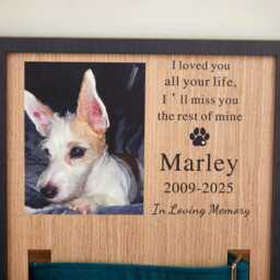 Custom Memorial Pet Collar Sign, Dog Wood Frame With Holder, Memorial Photo Print For Beloved Pet, Pet Loss Sympathy Gift - thumbnail 3
