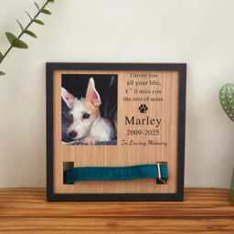 Custom Memorial Pet Collar Sign, Dog Wood Frame With Holder, Memorial Photo Print For Beloved Pet, Pet Loss Sympathy Gift - thumbnail 1