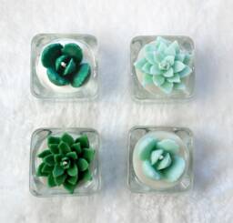 Handcrafted Soy Wax Succulent Tealight Candle Home Decor, Wedding Favor - thumbnail 1