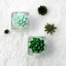 Handcrafted Soy Wax Succulent Tealight Candle Home Decor, Wedding Favor - thumbnail 2