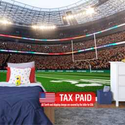 American Football Stadium Wallpaper Mural, Removable Peel & Stick - thumbnail 1