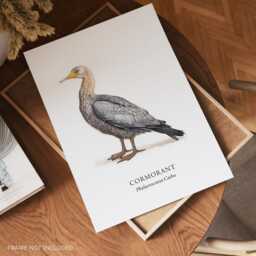 Cormorant Bird Illustrated Poster, Sea Coastal Birds, Wall Decor, Print Gifts - thumbnail 2