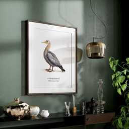 Cormorant Bird Illustrated Poster, Sea Coastal Birds, Wall Decor, Print Gifts - thumbnail 3