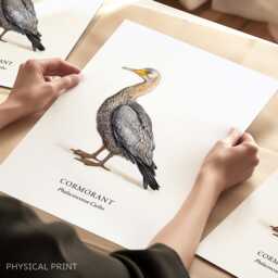 Cormorant Bird Illustrated Poster, Sea Coastal Birds, Wall Decor, Print Gifts - thumbnail 1