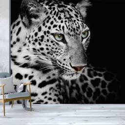 3D Leopard Wallpaper, Black Animal Wall Mural, Peel & Stick - thumbnail 2