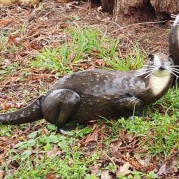 Hand Crafted Otter Garden Sculpture, Metal Statue Ornament, Garden Decoration - thumbnail 3
