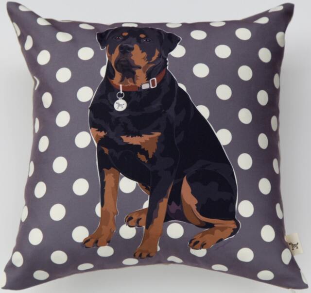 Rottweiler - image 1