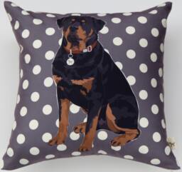 Rottweiler - thumbnail 1