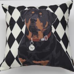 Rottweiler - thumbnail 2