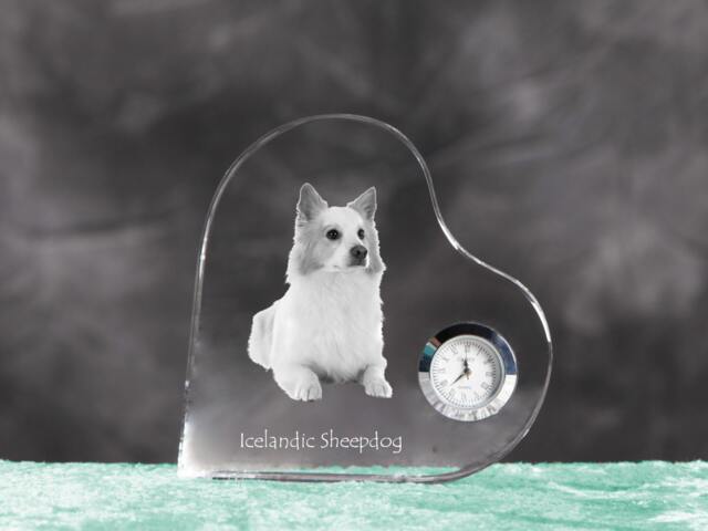 Icelandic Sheepdog - Crystal Clock in The Shape Of A Heart With Image Pure-Bred Dog - image 1