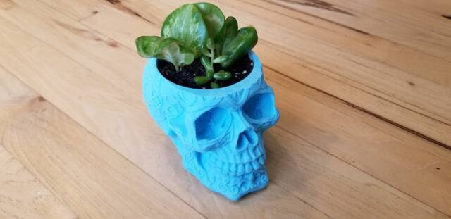 Day Of The Dead Skull 3D Printed Planter - image 1