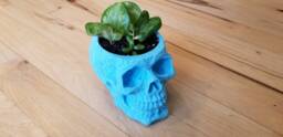 Day Of The Dead Skull 3D Printed Planter - thumbnail 1
