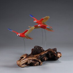 Macaw Parrot Trio Sculpture By John Perry Scarlet 7In Long On Burlwood Base - thumbnail 2