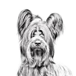 Skye Terrier - Wooden Stand For Candles/Pens With The Image Of A Dog New Collection - thumbnail 2