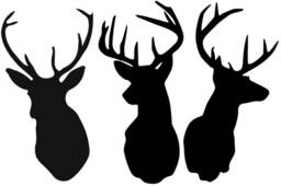 Stag Deer Head Set Decal Silhouette Car Van Bonnet Vinyl Side Sticker Wall Art Hood Graphic Door Sign Motorhome Campervan Hunter