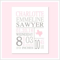 Birth Announcement Wall Art For Baby Girl, Stat Personalized Gift, Vitals Pink Gray Nursery Decor, New Baby Keepsake - thumbnail 1