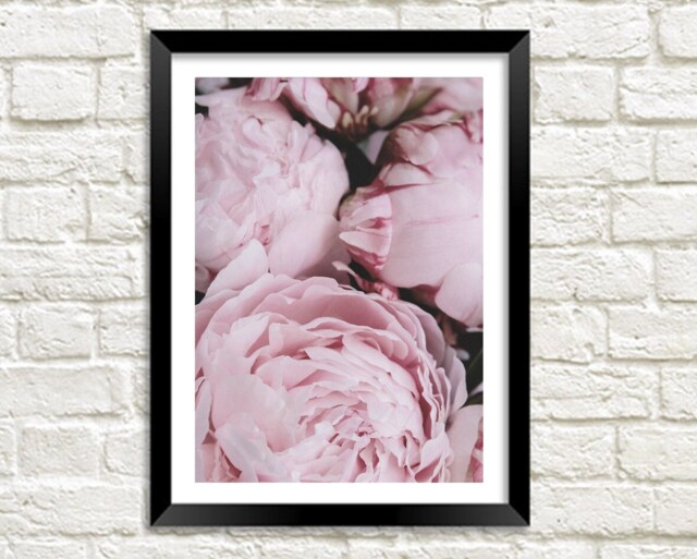 Peonies Print Blush Pink Peony Flowers Photo Art Poster - image 1
